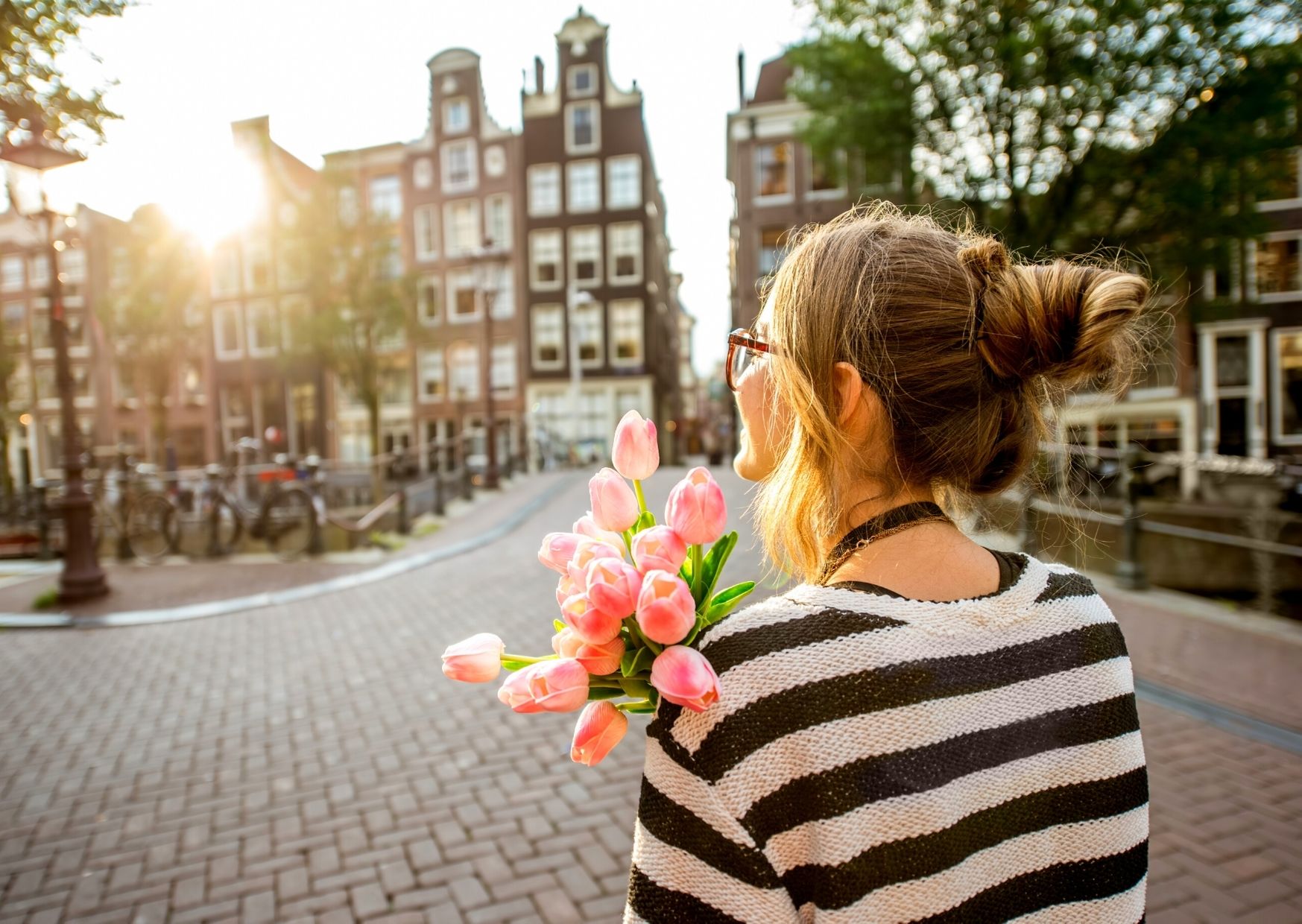 Study in the Netherlands